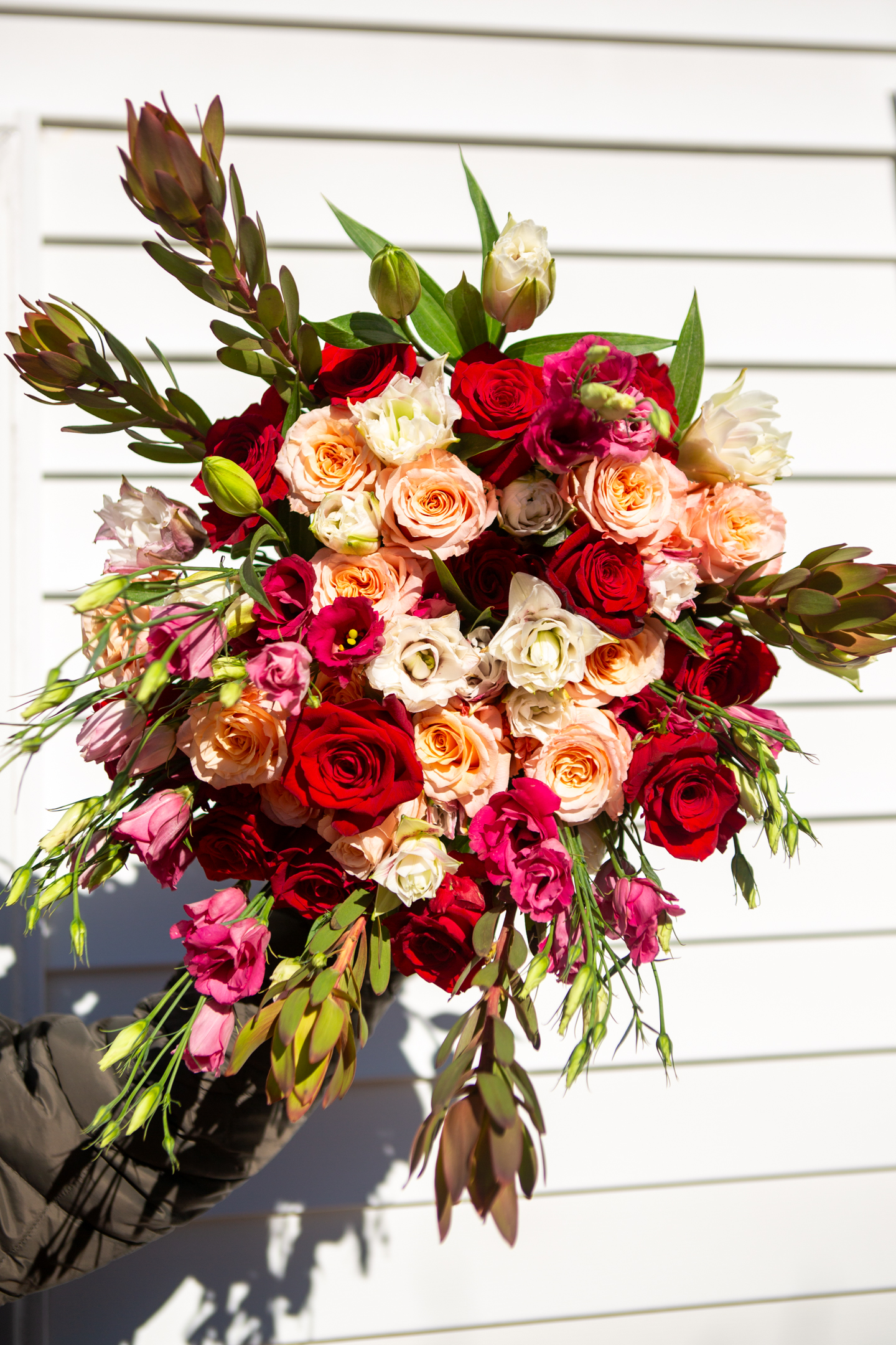 Poetic — red, peach, and magenta roses with leucadendron in a hand-tied bouquet against a white wall, Livingston NJ florist